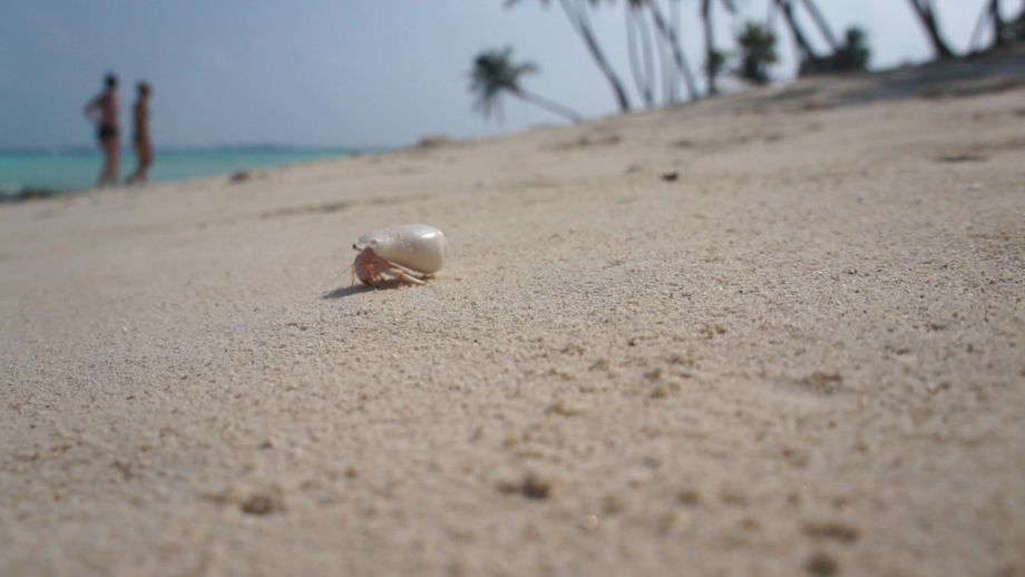 Video Sand